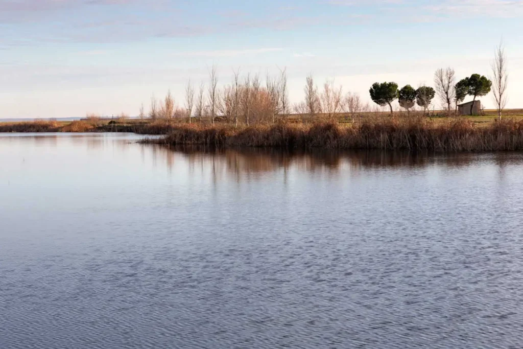 Casa Rural Los Chariles